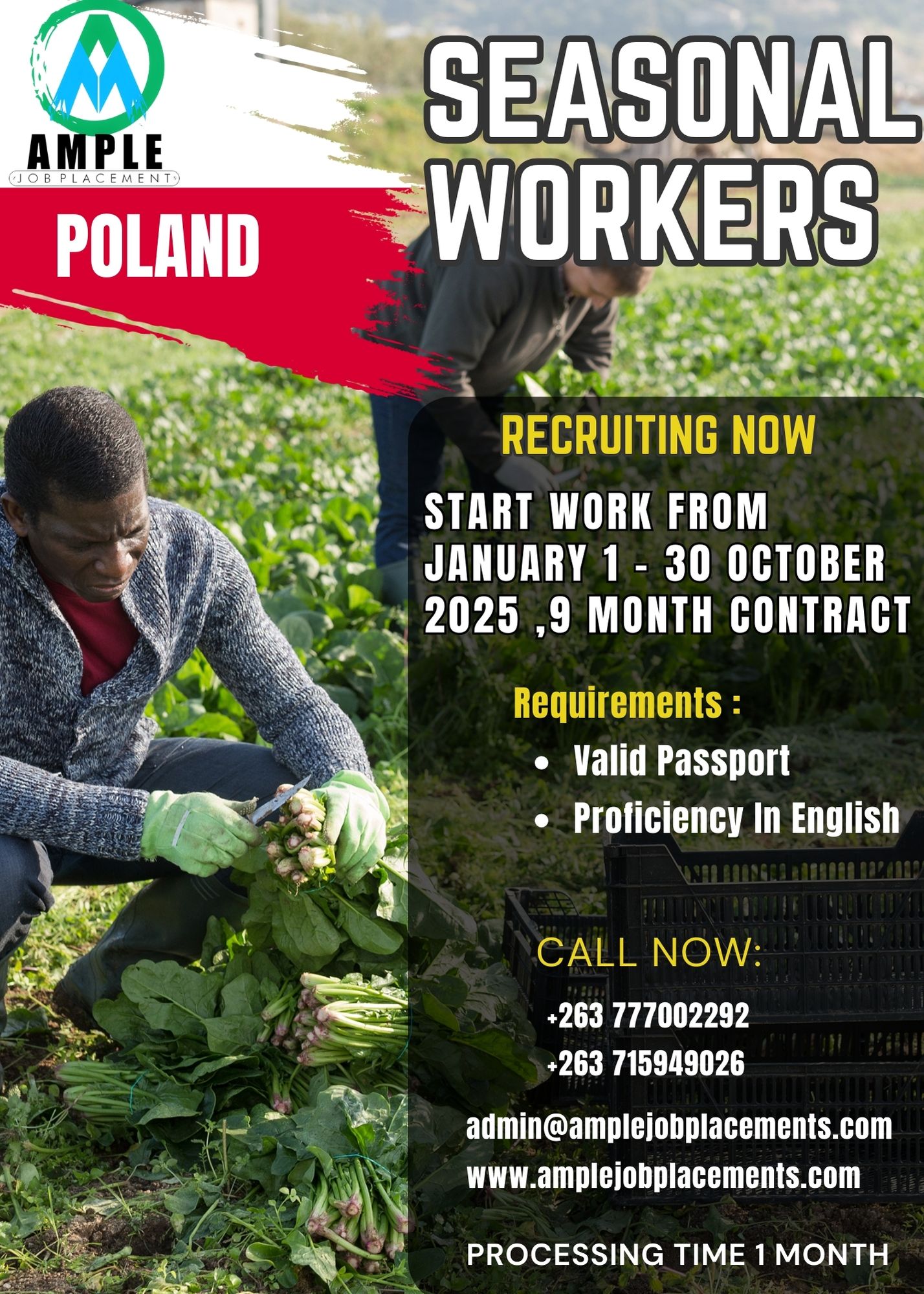 Poland Seasonal worker (1)